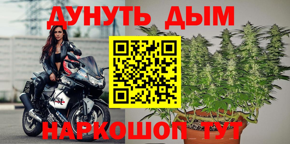 Шишки марихуана тримм  МАРИХУАНА индика  Вход с VPN  Владимир  Бошки марихуана индика  МАРИХУАНА Bruce Banner 